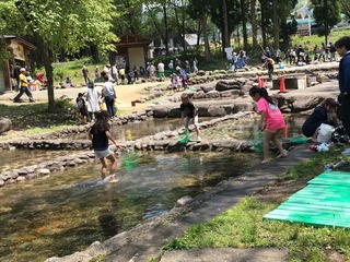 07D79642-1297-48A6-906C-984591E8CD13.jpeg