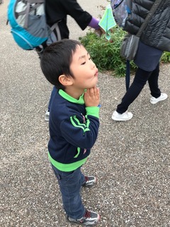 363AE7ED-C0BA-47D6-B046-29E374B28E33.jpeg