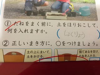 44D0B910-B6EF-445C-BFC9-4E9813A42D88.jpeg