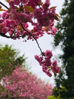 82B60970-09C3-49F6-B02D-D51139F75D34.jpeg