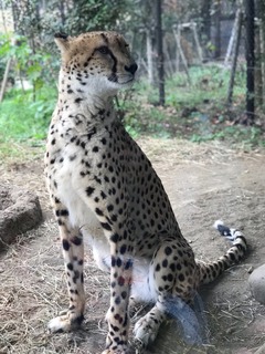 8EF50102-5DFA-4856-8C05-CBEAF59683C1.jpeg