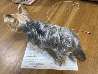 D2D5A89B-FD23-47CF-A942-45D54D3EC363.jpeg