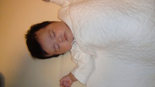 DSC01261s-.jpg