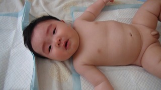 DSC01270s-.jpg