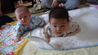 DSC01377s-.jpg