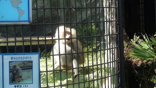 DSC01855s-.jpg