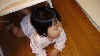 DSC01942s-.jpg