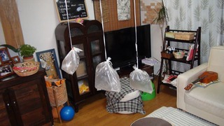 DSC01966s-.jpg