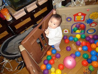 DSC02782s-.jpg