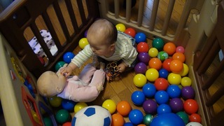 DSC02809s-.jpg