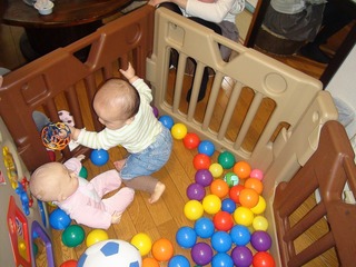 DSC02810s-.jpg