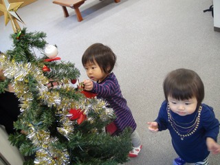 DSC03543s-.jpg