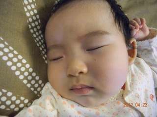 DSCN0658s-.jpg