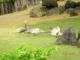 DSCN0791s-.jpg