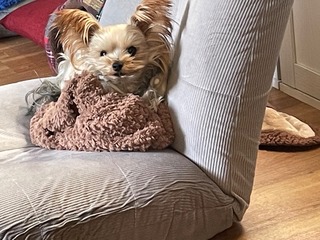 E5526308-0B3C-4F63-8E0F-0C343551180A.jpeg
