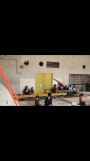 E9D07351-A8FF-4D42-87A5-D4D527BFD674.png