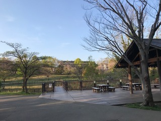 F0311569-CCC0-4704-A349-810A70247C03.jpeg