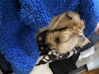 IMG_1578.jpeg
