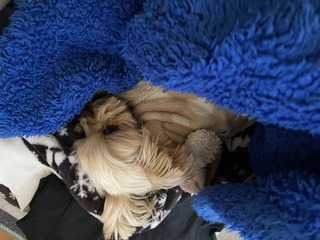 IMG_1579.jpeg
