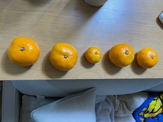 IMG_1602.jpeg