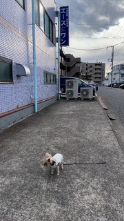 IMG_1606.jpeg