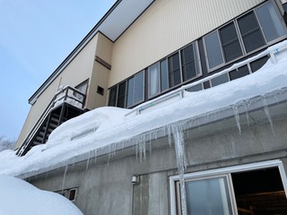 IMG_1618.jpeg