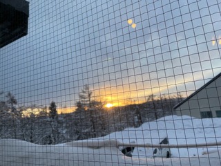 IMG_1621.jpeg