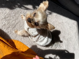 IMG_1683.jpeg