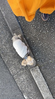 IMG_1695.jpeg