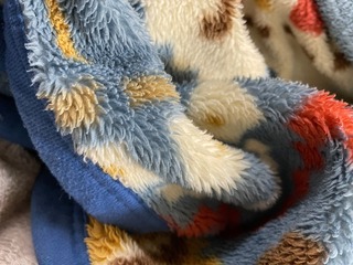 IMG_1715.jpeg