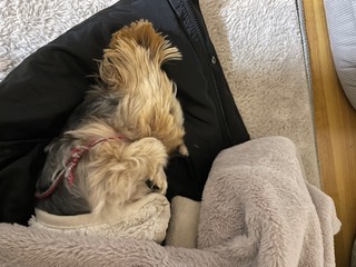 IMG_1826.jpeg