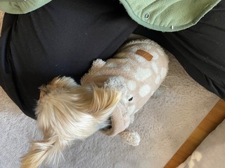 IMG_1874.jpeg