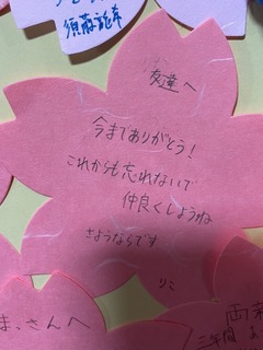 IMG_2009.jpeg