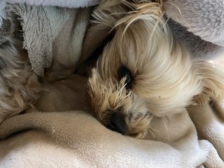 IMG_2069.jpeg