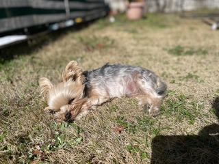 IMG_2146.jpeg