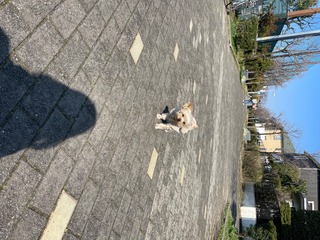 IMG_2204.jpeg