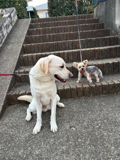 IMG_2302.jpeg