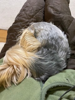 IMG_2316.jpeg