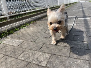 IMG_2367.jpeg