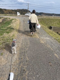 IMG_2403.jpeg