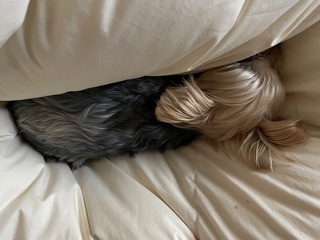 IMG_2487.jpeg