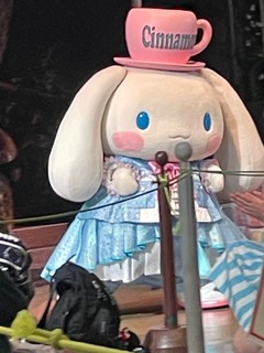 IMG_2517.jpeg