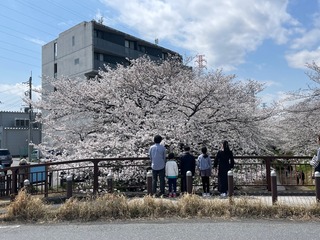 IMG_2586.jpeg