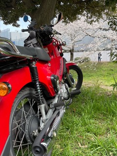 IMG_2614-76dc8.jpeg