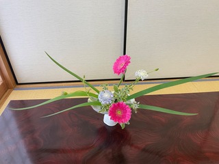IMG_2633.jpeg