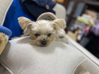 IMG_2671.jpeg