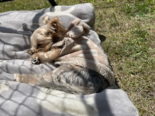 IMG_2688.jpeg