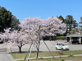 IMG_2722.jpeg