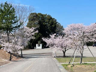 IMG_2723.jpeg