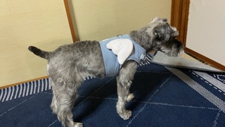 IMG_2743.jpeg